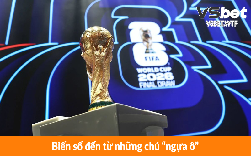 Biến số đến từ những chú “ngựa ô”