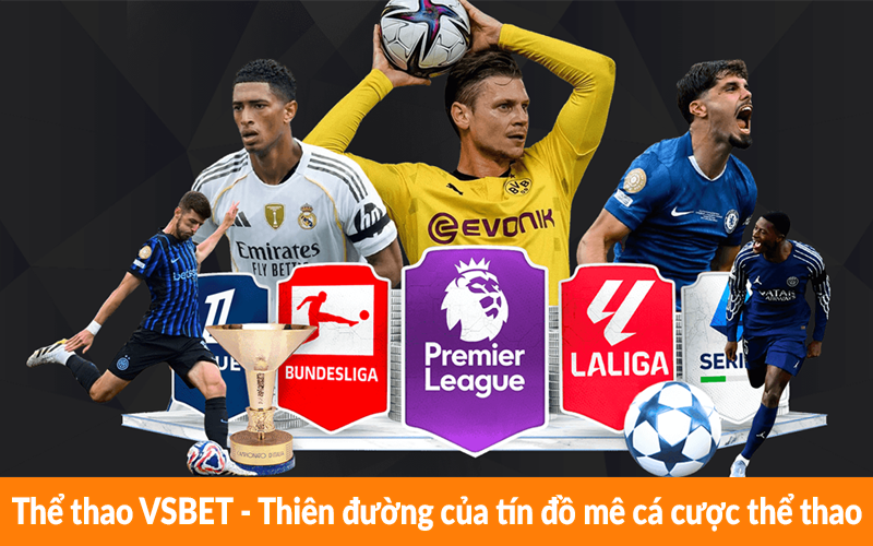 Thể thao VSBET - Thiên đường của tín đồ mê cá cược thể thao